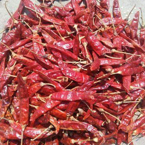 Guntur Dry Red Chilli