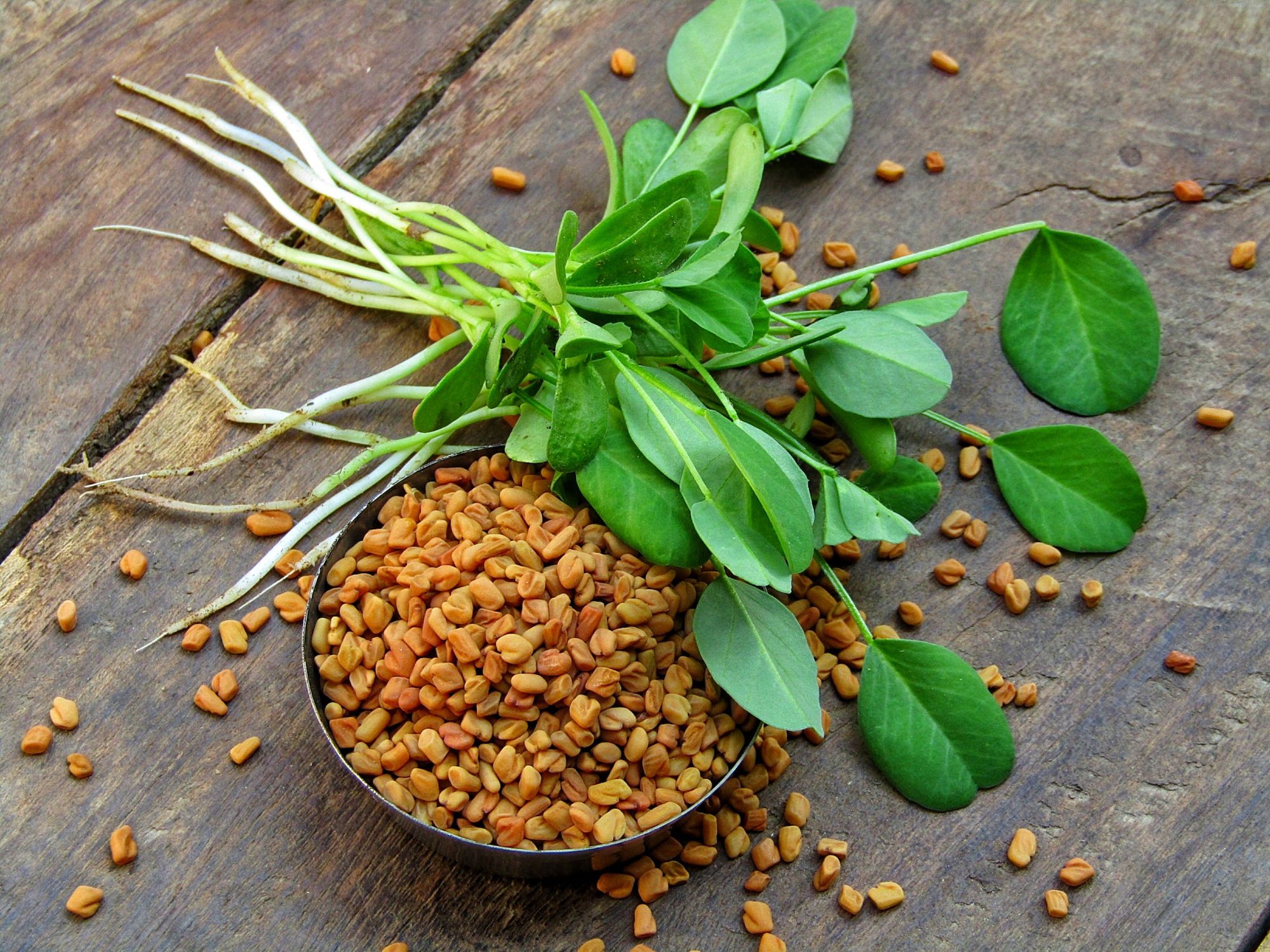 Fenugreek Seeds