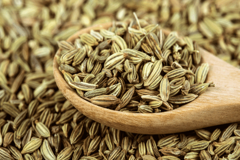 Fennel Seeds